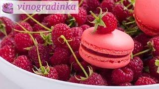 Мои макаронс -  макаруны - macarons | Vinogradinka