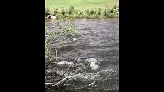 Estes park Colorado Big Thompson river