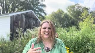 Dylan Jahraus Course Review: Lori's Etsy Shop Sales went up 800% after applying the course!