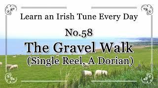 058 The Gravel Walk (Single Reel, A Dorian) Learn an Irish Tune Everyday.