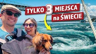 KONIEC naszej wycieczki po Sikoku - Shikoku #12