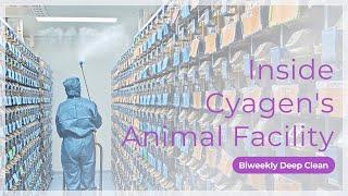 Inside Cyagen's Animal Facility: Biweekly Deep Clean | Cyagen