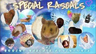 SPECIAL RASCALS of Rodent Rascals Adventures