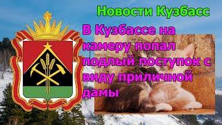 В Кузбассе на камеру попал подлый поступок с виду приличной дамы