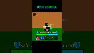 I Got Buddha Fruit #roblox #bloxfruit #bloxfruits