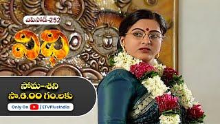 Vidhi | 24th  August 2024 | Full Episode No 252 | ETV Plus