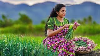 SriLanka Folk Songs - Nelum Kavi / Poems , Verses sung by groups at Paddy Fields