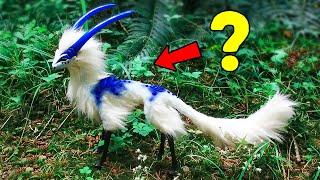 10 Unique Animals You Won’t Believe Exist