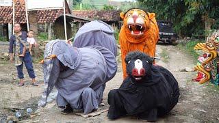 DETIK DETIK KEMUNCULAN SANG RAJA HUTAN MACAN GAJAH KUDA ~ BUROK CINTA NADA BUDAYA