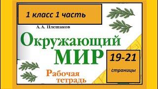 Окружающий мир 1 класс Что такое хвоинки? страница 19-21.