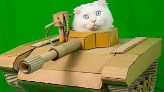 DIY - Amazing Cardboard Tank  Kitten Cat House - Meow Pi