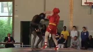 WUSHU SANDA FRANCE-CHINA 2014