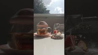 my tiktok @minz39808 #cute #asmr #aesthetic #fairytales #mushroom #fairy #pink #relaxing #kawaii