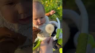 #Прогулка в #одуванчик -ках