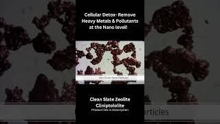 Cellular Detox: How to Remove Nano Metals & Pollutants 🫶