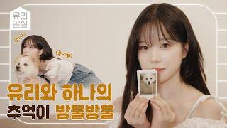 [유리온실] 우리집 강아지'들'을 소개합니다🩵