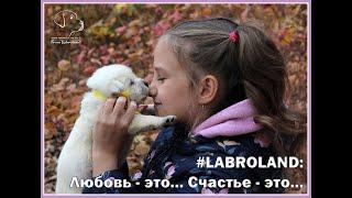 #LABROLAND: Любовь - это... Счастье - это...