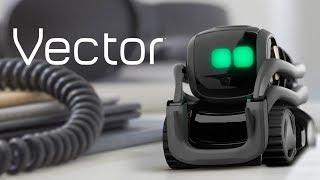 Anki Vector, A Robot Sidekick for Your Home