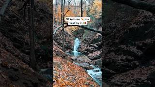 Autumn = hiking season  It’s our favourite season of the year! #travel #belgium #hiking #autumn