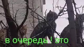 Это март, детка!