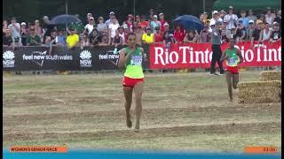 Letsenbet Gidey Collapses at Finish at the World Cross Country Championships Bathurst 23