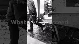#hinfluencer #influencer #farmfluencer #automobile #dairycows #dairyfarming #stitch #dairy #jokes