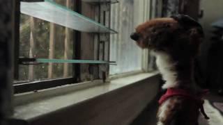 REEL - Philip Hodges [HD]