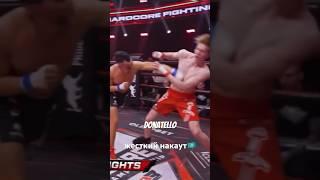 донателло - боец на кухне жестокий нокаут