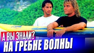 НА ГРЕБНЕ ВОЛНЫ (1990) интересные факты о фильме