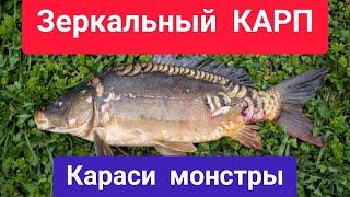 Зеркальный Карп и  Супер Карась на реке.Рыбалка с ночевкой.