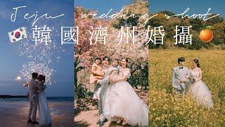 ◤JEJU VLOG-2韓國濟州婚攝◢ 韓國現在最流行的新娘妝髮️盛開的油菜花田濟州獨有的櫻花浪漫的海邊煙花照家庭照拍攝+當地包車導遊婚後八年再次拍攝的婚照🫶Suenn Wong