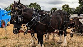 Working Field, Shrewsbury Steam Rally 2024