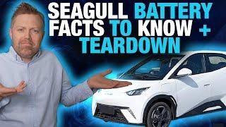 BYD Seagull – The One Thing No One’s Telling You…
