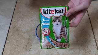 Kitekat с рыбой в соусе китикет Отзывы видео кормления кота и его реакция