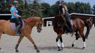 Aufsteigen auf Problempferd Joey – Arianes Schulter mit Back on Track wieder fit fürs reiten