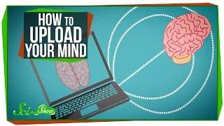 How to Upload Your Mind