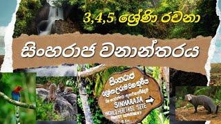 සිංහරාජ වනාන්තරය | 3,4,5 ශ්‍රේණි පෙරහුරු රචනා | Sinharaja forest | essays for grade 3,4,5