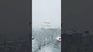 Амурская область г. Тында 15 мая 2025г.