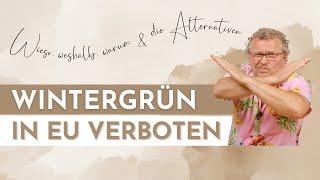 WINTERGRÜN - ÄTHERISCHE ÖLE ALTERNATIVEN | verwende diese ätherischen Öle statt Wintergrün