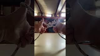 How to tie HANDCUFFS super fast…