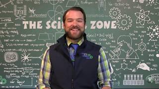 Virtual Field Trips at the Science Zone