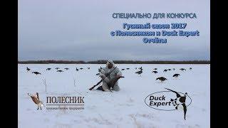 "Гусиный сезон 2017 c Полесником и Duck Expert. Отчеты".