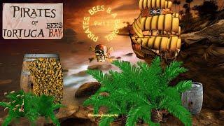 ‍️Pirates of Tortuga Bay & the Bees  #bee #pirates #swarm #nature