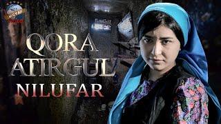 Qora atirgul “Nilufar” | Қора атиргул