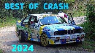 Rallye Best of Crash & Mistakes 2024 - RallyeFix