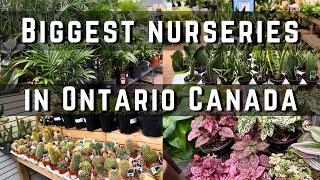 Biggest Nurseries in Mississaugs Ontario | Sheridan Nurseries | Greenhouse Tour