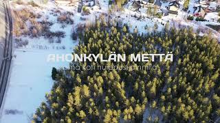 Ilmajoen tontit - Ahonkylän Mettä