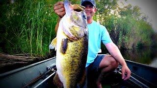 Understanding Big Bass - How to Catch a Trophy Largemouth