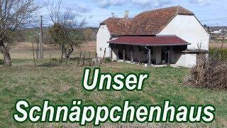 für unseren Neustart in Ungarn - Ein Jahr nach dem Hauskauf - Auswandern Ungarn