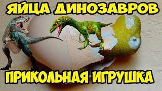 Яйца динозавров. Вылупляются и растут. Прикольная игрушка.